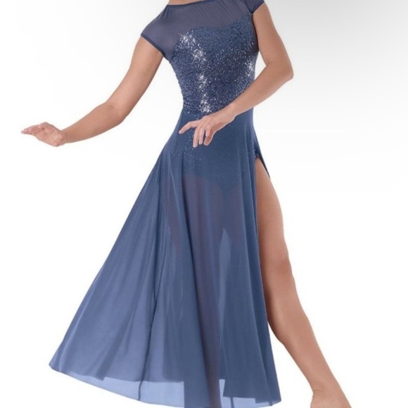 Weissman INTO THE MEADOW Dance Costume in Slate Blue Small Adult SA - Picture 1 of 16
